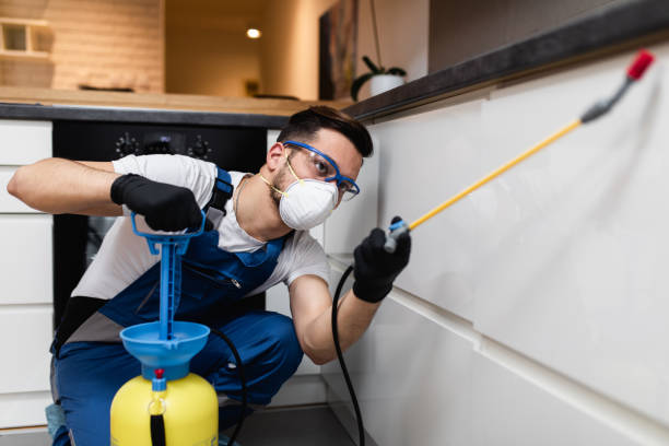 Best Best Pest Control Companies  in Candlewick Lake, IL