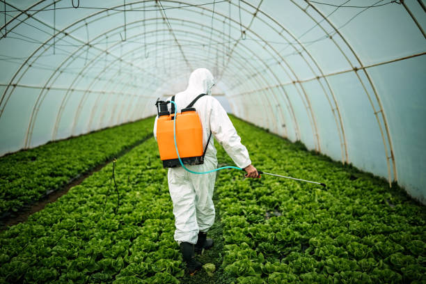 Best Emergency Pest Control  in Candlewick Lake, IL
