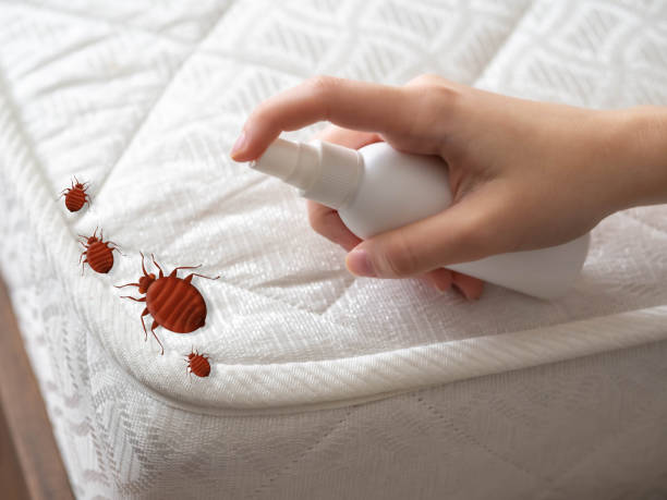 Best Bed Bug Extermination  in Candlewick Lake, IL