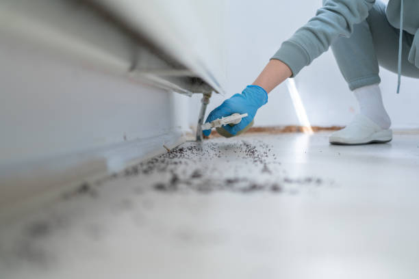 Best Pest Prevention Services  in Candlewick Lake, IL