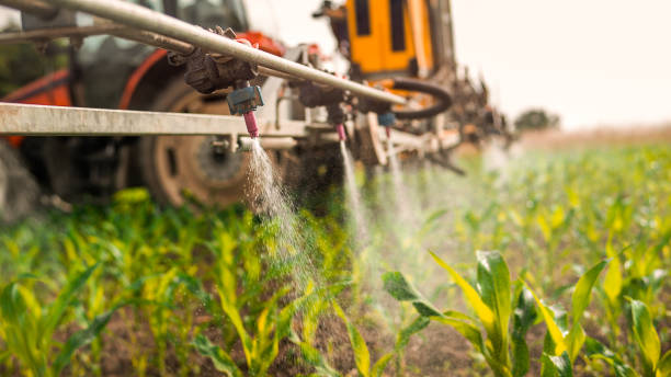 Best Pest Removal Services  in Candlewick Lake, IL