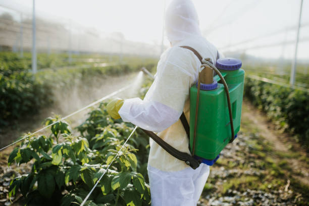 Best Pest Prevention Services  in Candlewick Lake, IL
